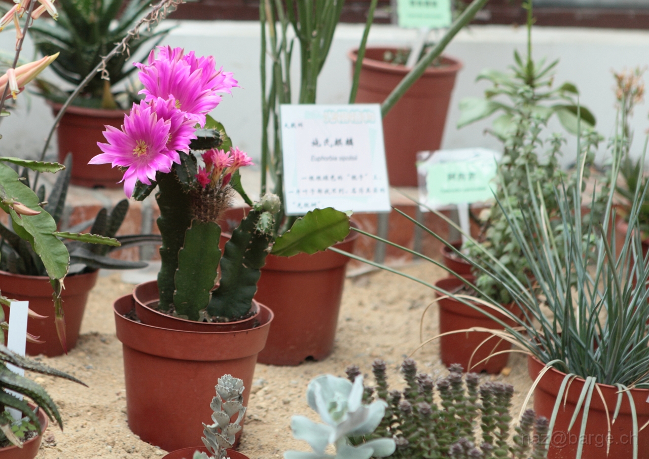 EOS 5D Mark II16_04_20135034.JPG